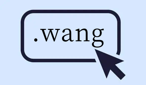 .wang域名