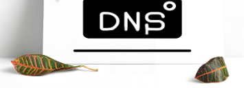 DNS解析,