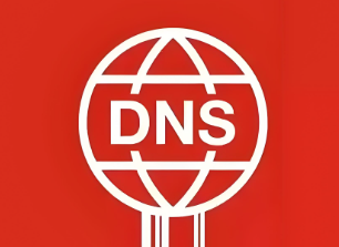 DNS服务器