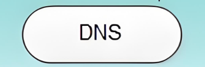 DNS