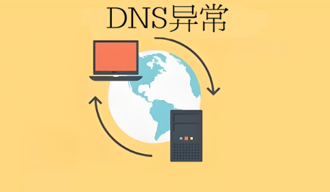 DNS异常